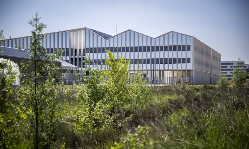 Université Paris-Saclay – Institut Diversité Ecologie et Evolution du Vivant (IDEEV)