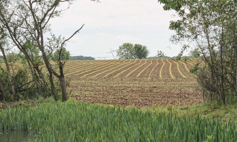Des terres fermement protégées